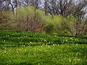 DSC00781
