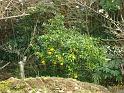 DSC00059