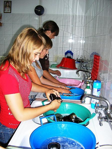 P1010008.JPG