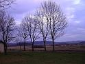 DSC09278