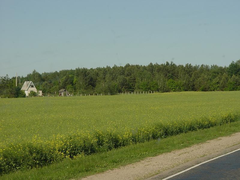 DSC06038.JPG